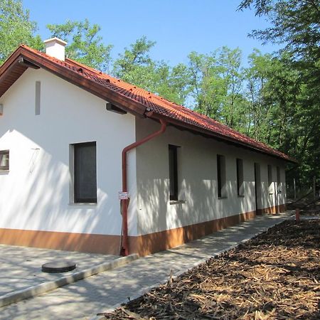 Bagosi vendégház Hajdubagos Exterior foto